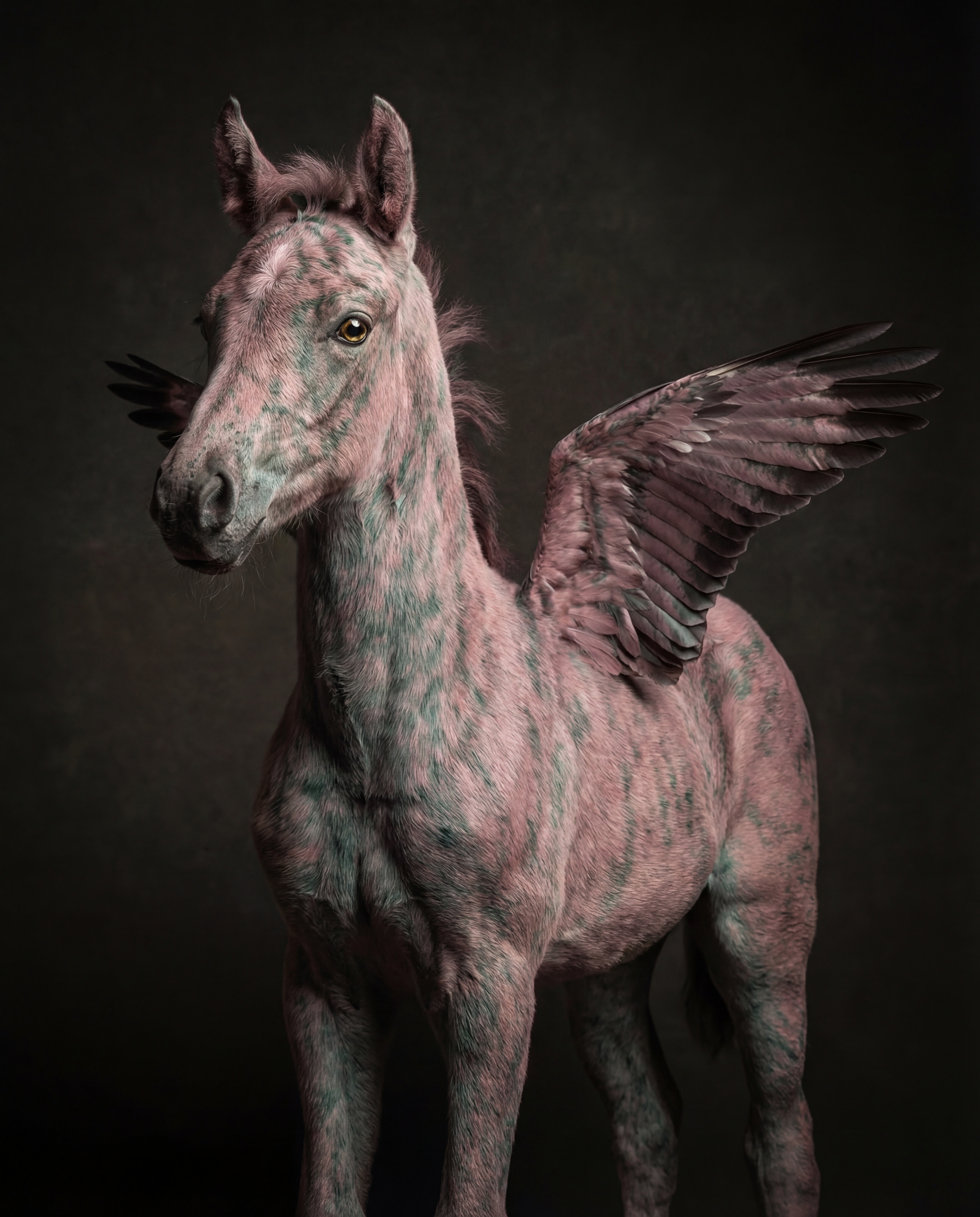 AIニマル · 106種