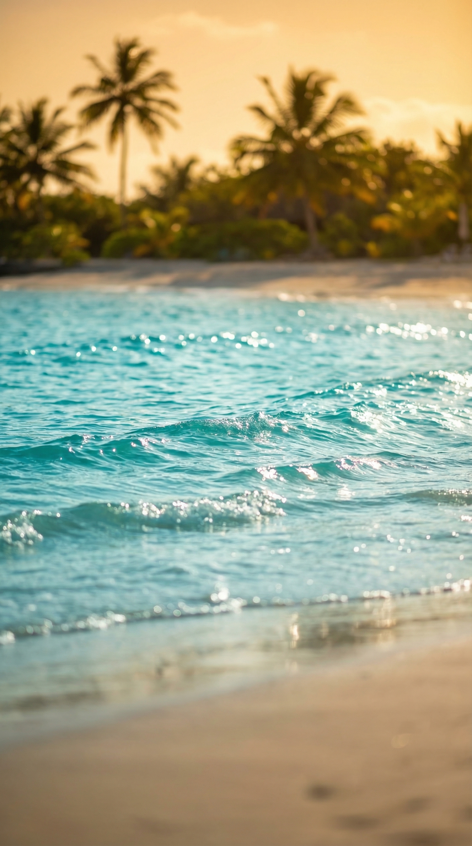 Maeva Verte — Studio