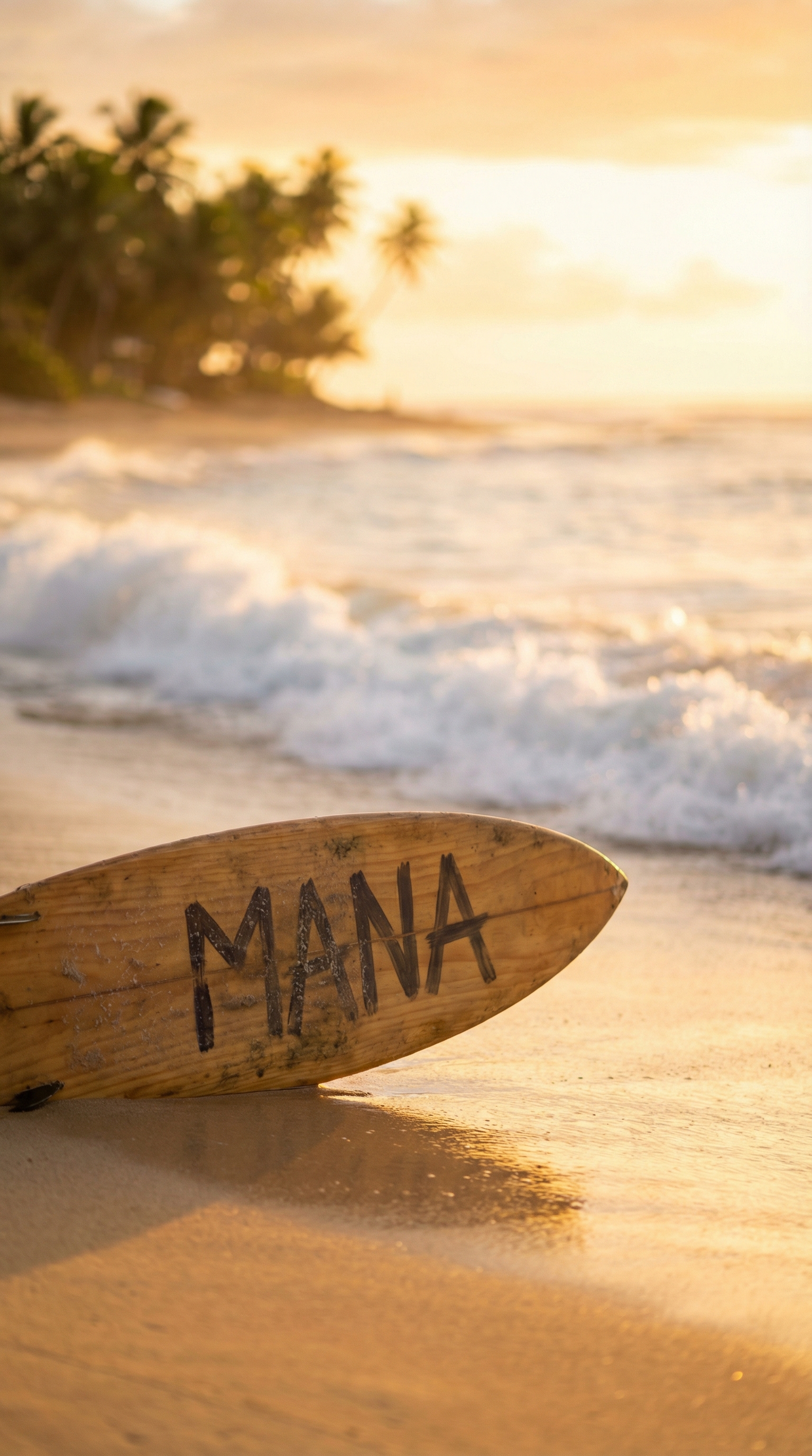 Maeva Verte — Studio