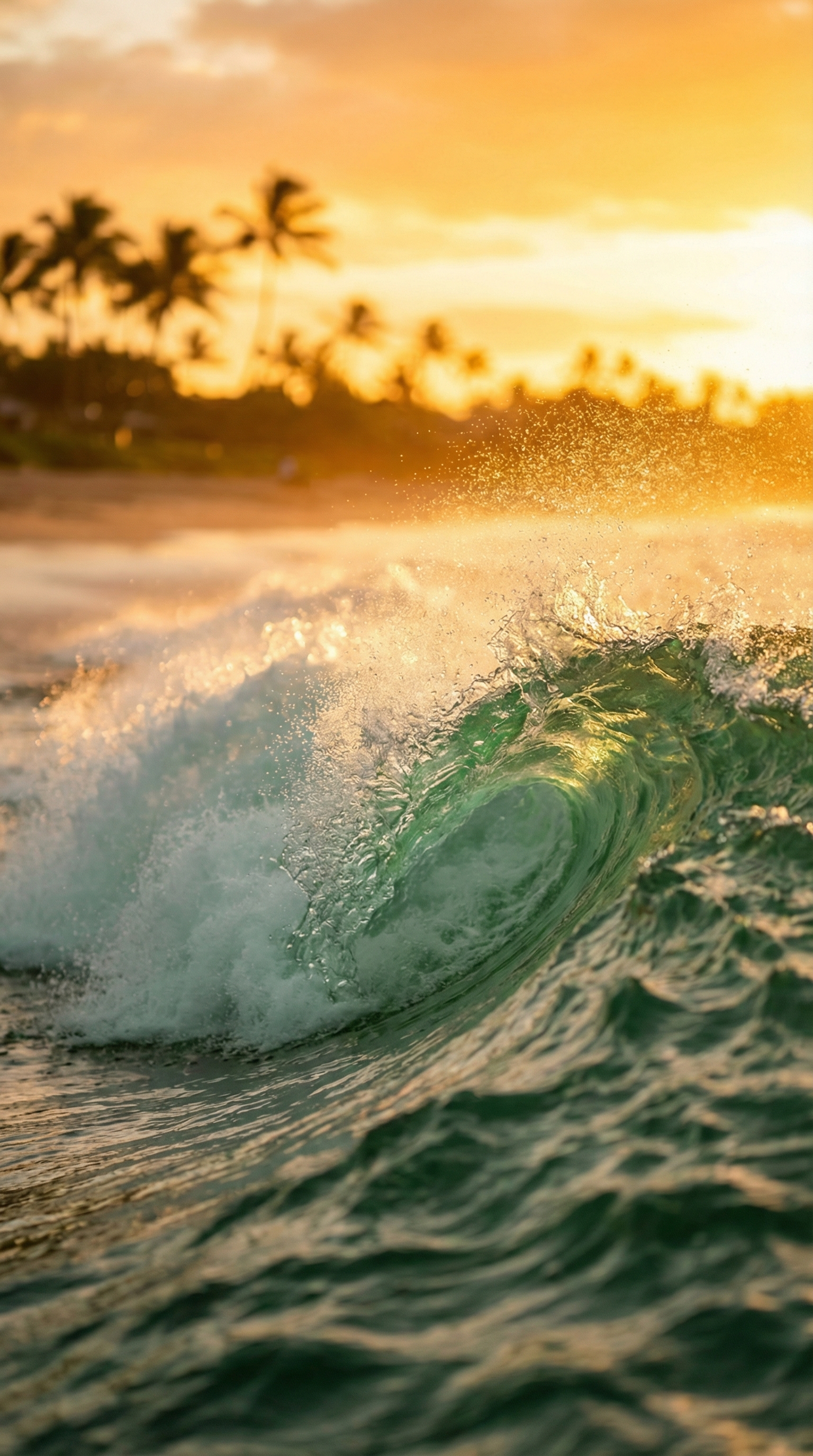 Maeva Verte — Studio